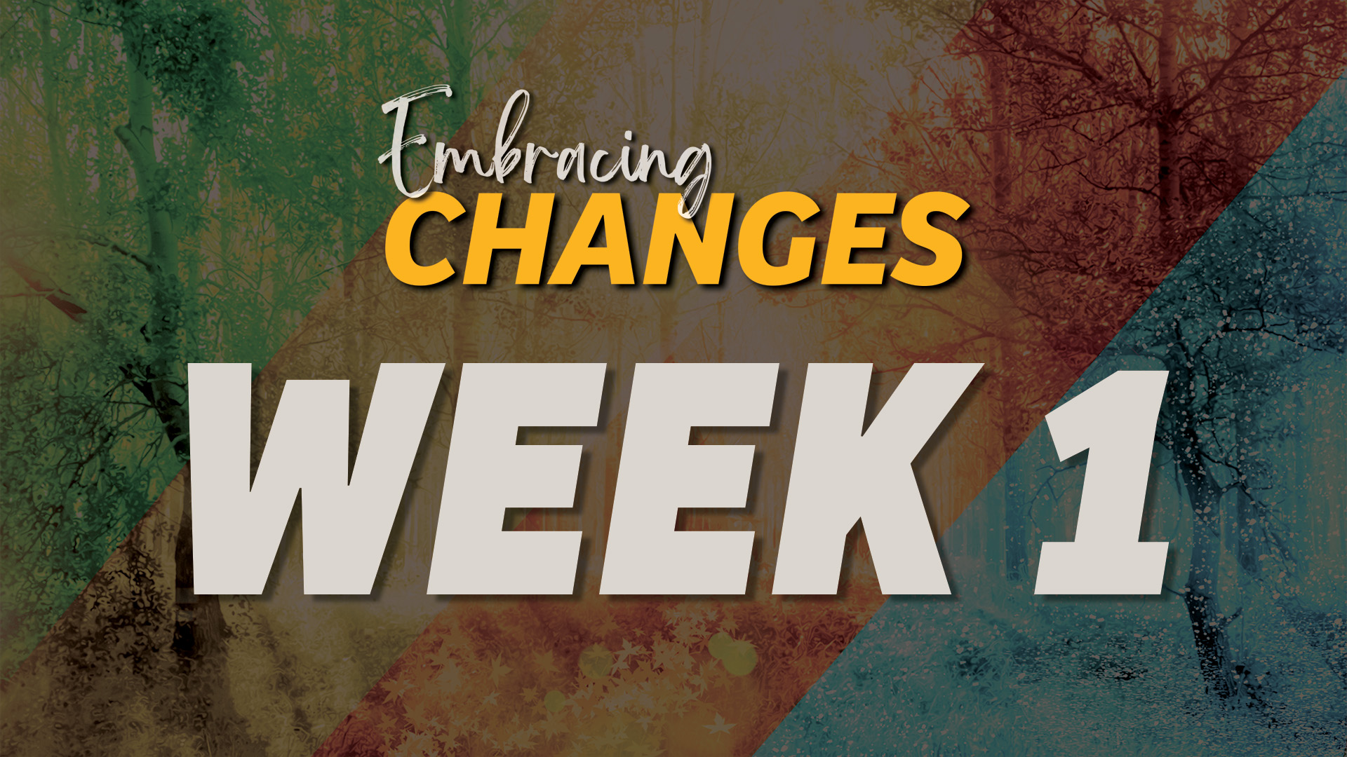 Embracing Changes : Week 1