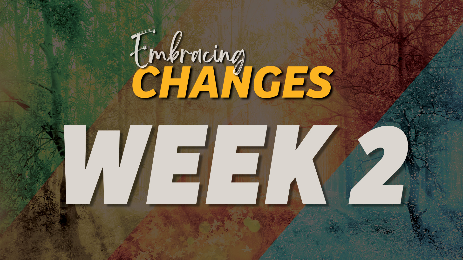 Embracing Changes : Week 2