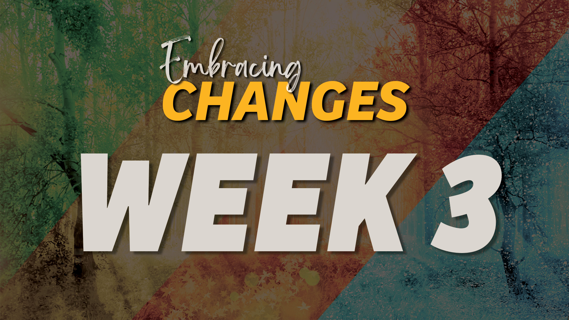 Embracing Changes : Week 3